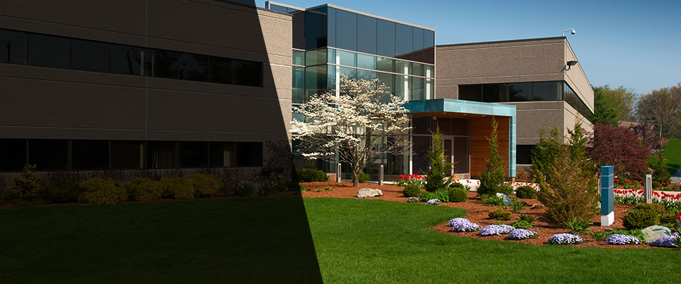 Virginia Beach Landscapers