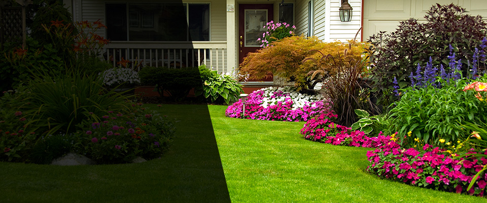 Virginia Beach Landscapers
