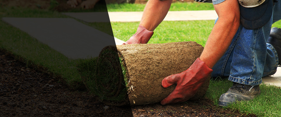 Virginia Beach Landscapers