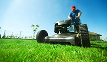 Yard Maintenance